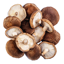 shiitake