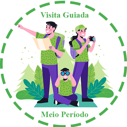 VisitaGuiada-MeioPeriodo
