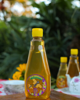 Mel Uva Japão 500g (Bisnaga)