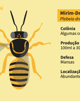 Abelha Nativa Sem Ferrão<br>Droriana (Plebeia droryana)