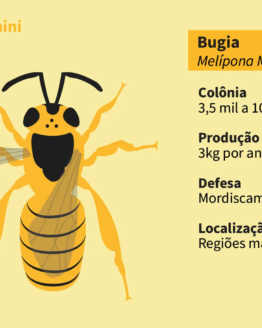 Abelha Nativa Sem Ferrão<br>Bugia<br>Melipona Mondury