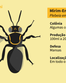 Abelha Nativa Sem Ferrão<br>Emerina (Plebeia emerina)