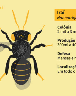 Abelha Nativa Sem Ferrão<br>Irai (Nannotrigona testaceicornis)